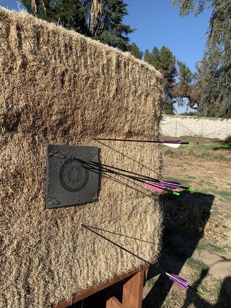 Robertson Archery image