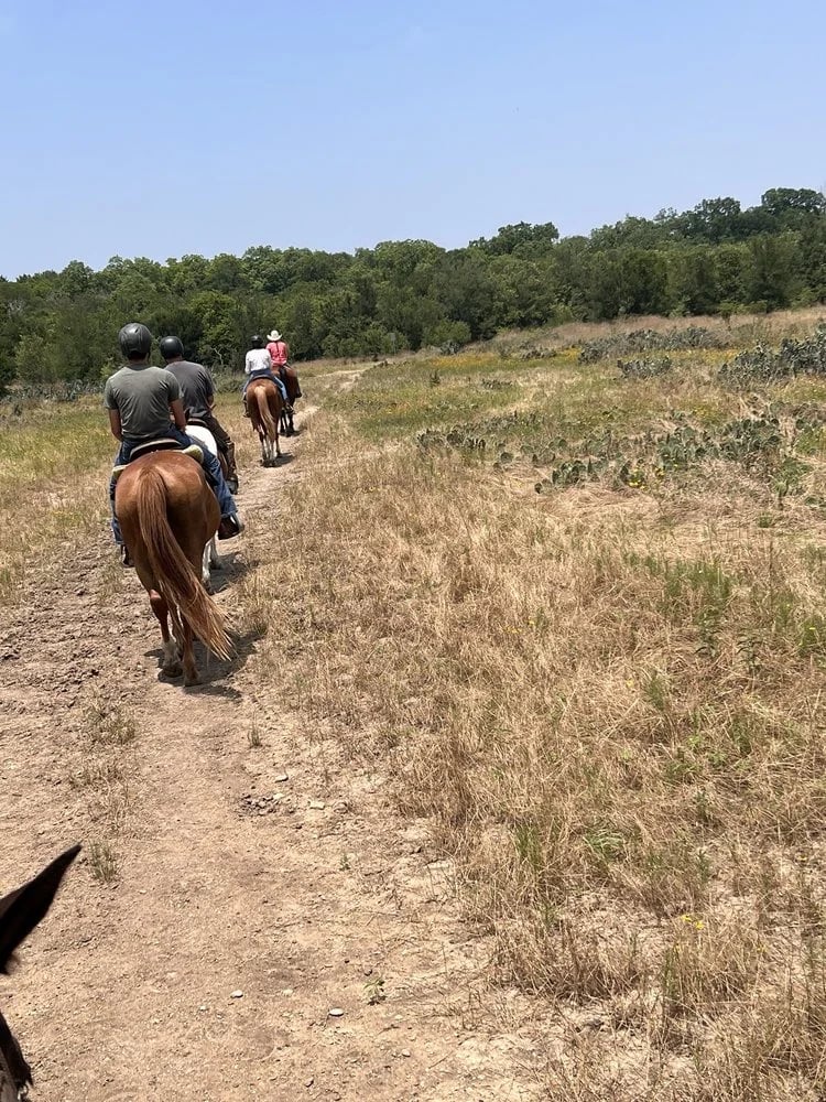 Lone Star Ranch & Rodeo image
