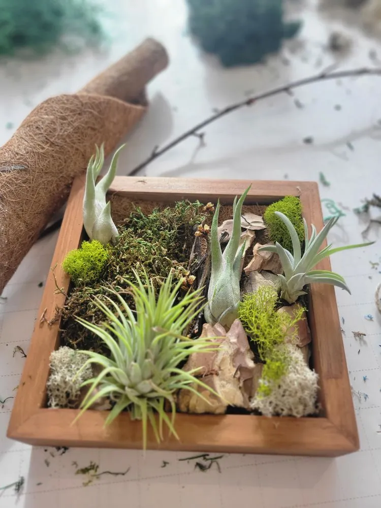 Fun With Plants image