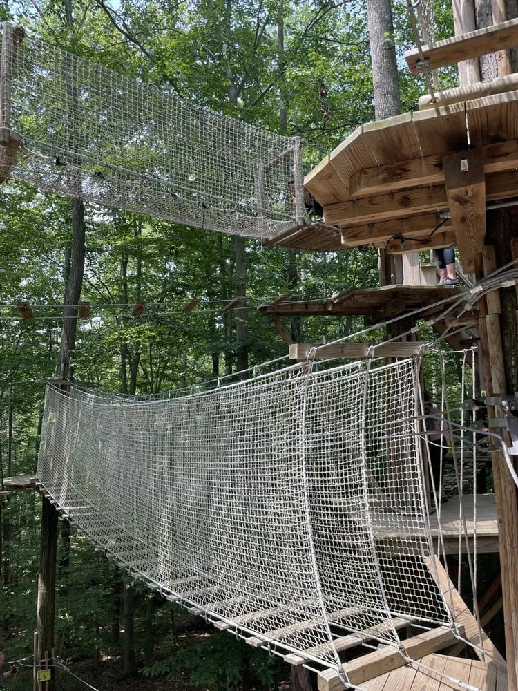 Go Ape Zipline & Adventure Park image