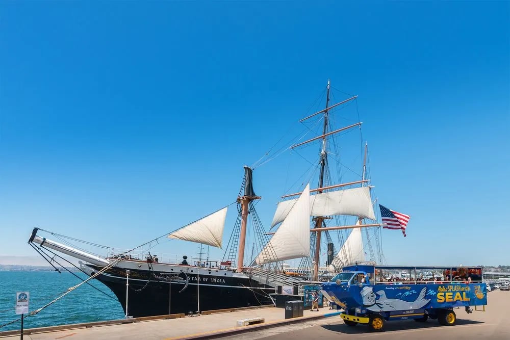 San Diego Seal Tour image