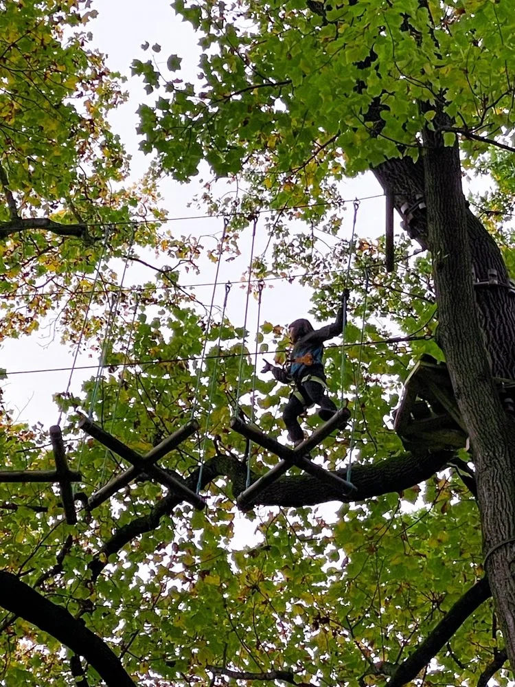 Treetop Quest Philly image