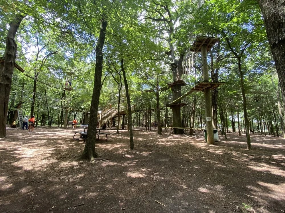 Trinity Forest Adventure Park image