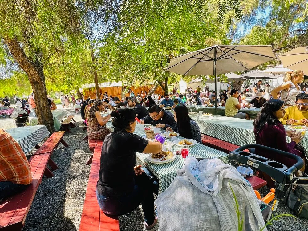 Coyote Ranch image