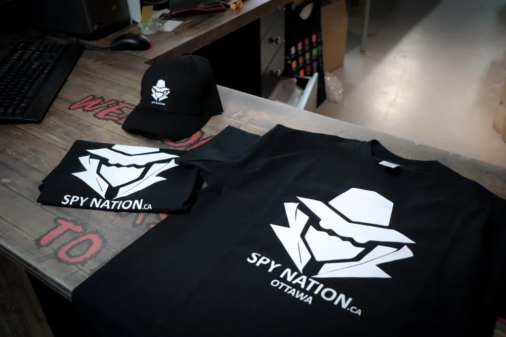 Spy Nation image