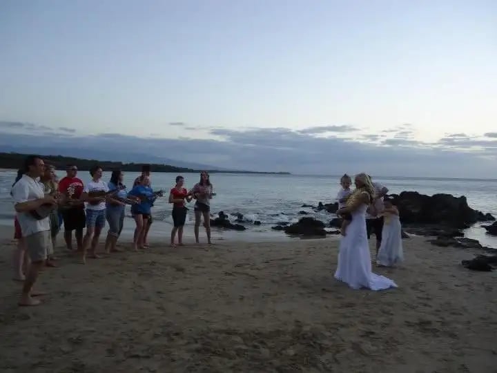Hawaii State Tours image