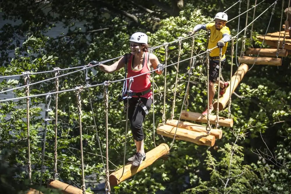 Treetop Trekking image