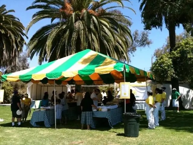 Picnic People image