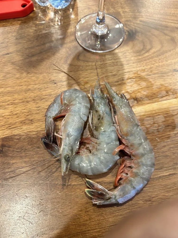 The Mardi Gras School of Cooking image