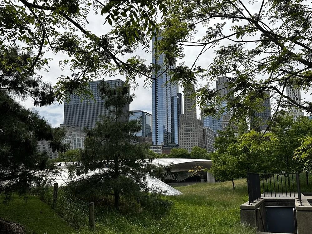 Absolutely Chicago Segway Tours image