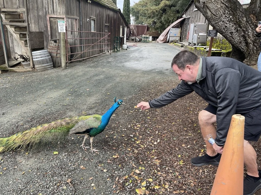 Tommy John's Wine and Brew Tours image
