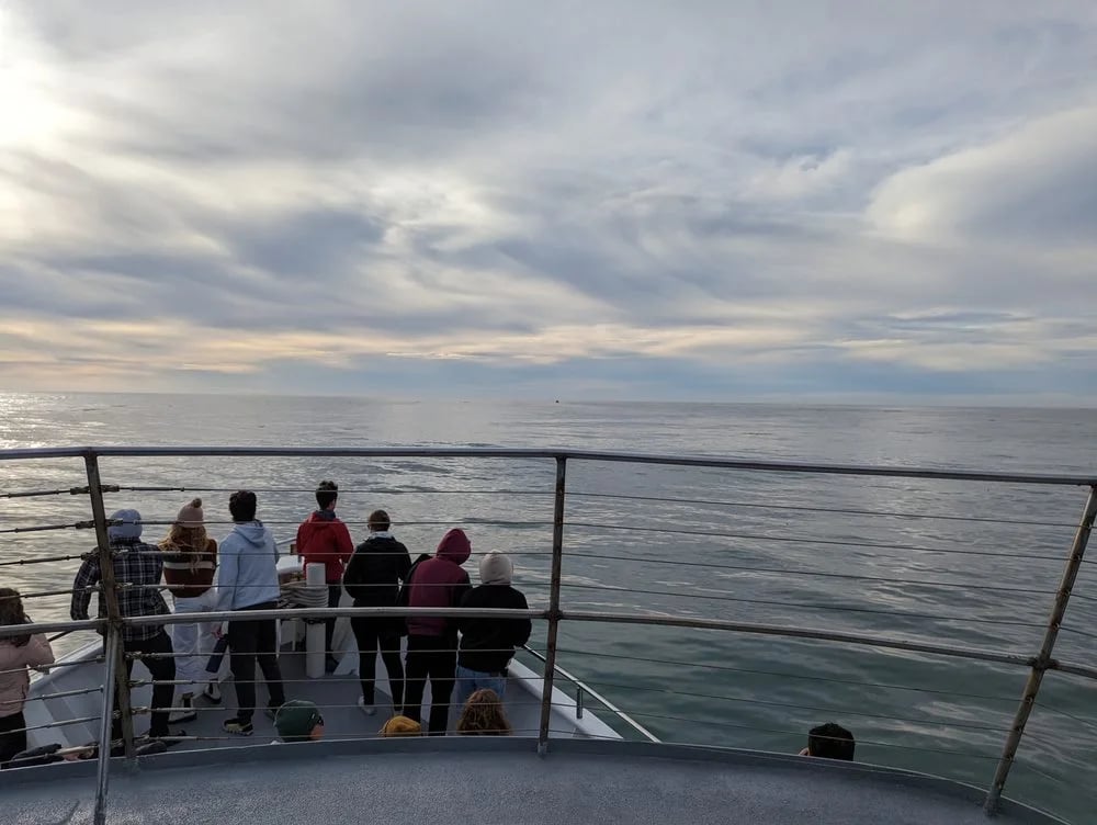 San Diego Whale Watch image