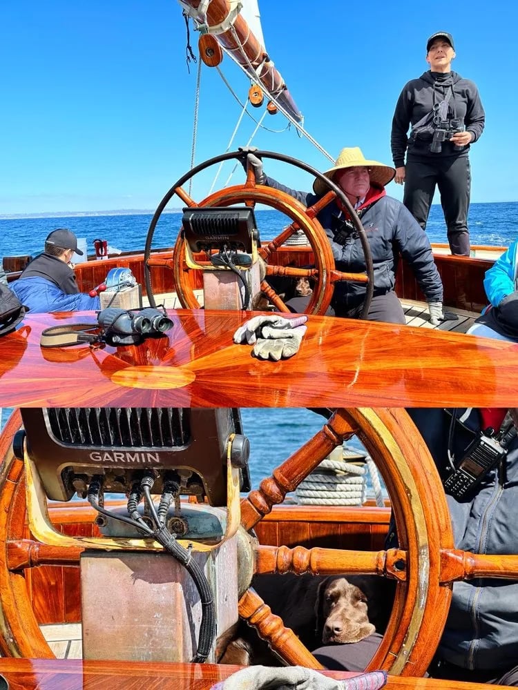 Next Level Sailing image