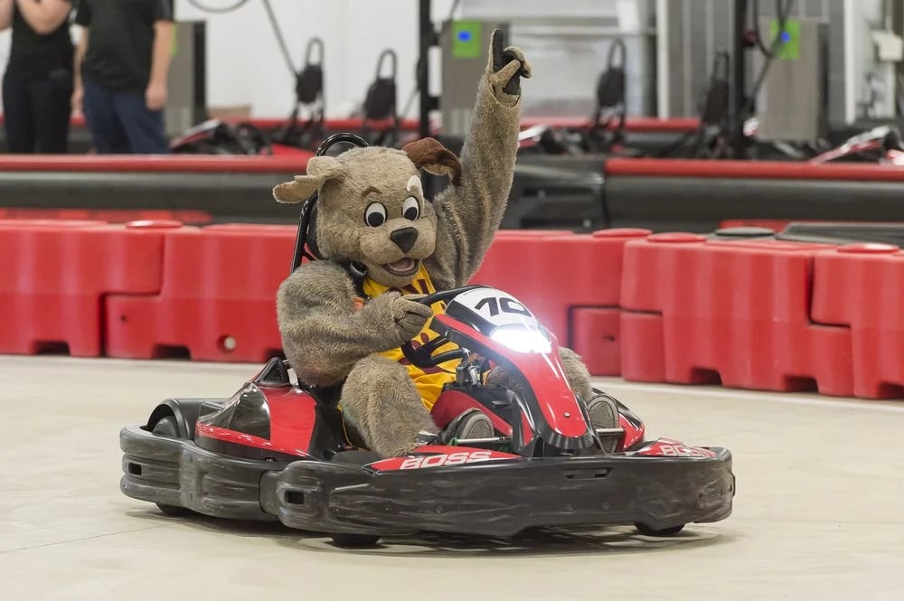 BOSS PRO-Karting image