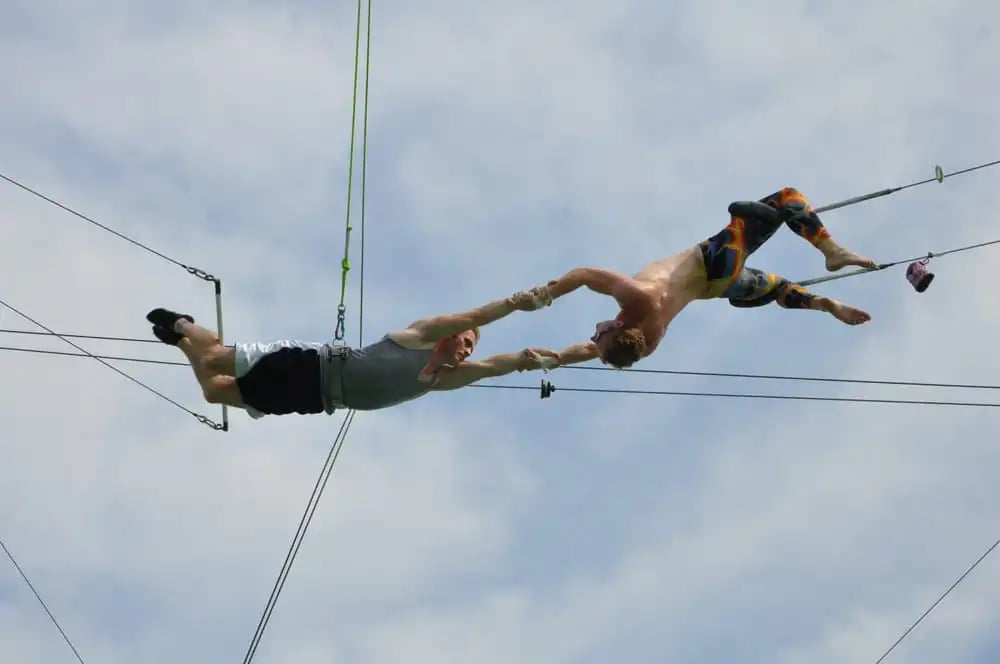 Trapeze School New York image