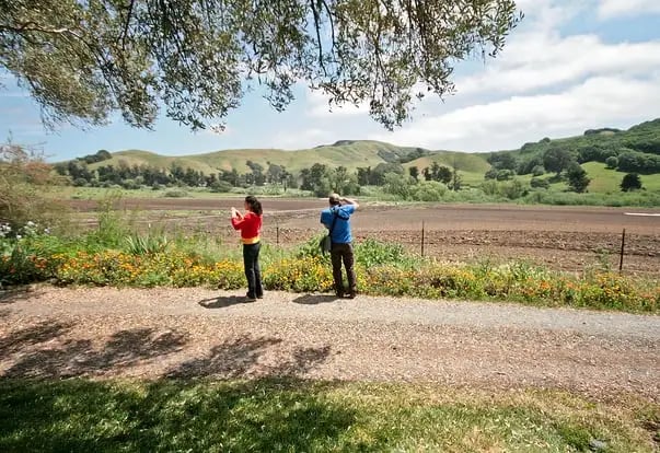 Bay Area Green Tours image
