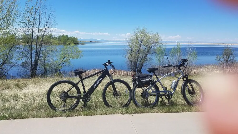 Pedego Electric Bikes Southlands image