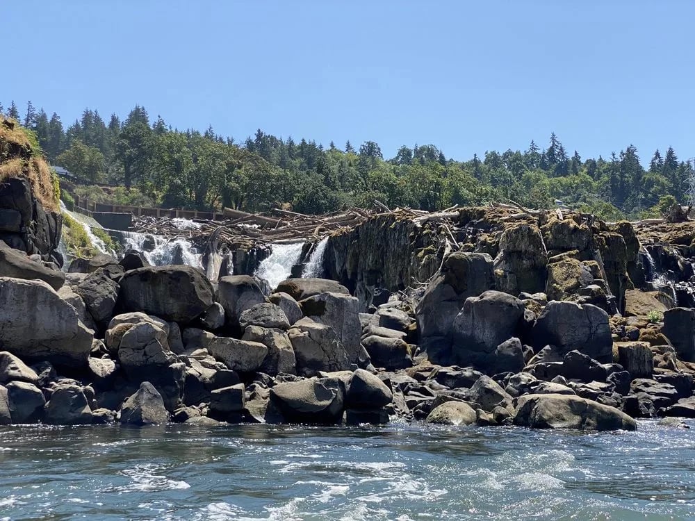 Willamette Jetboat Excursions image