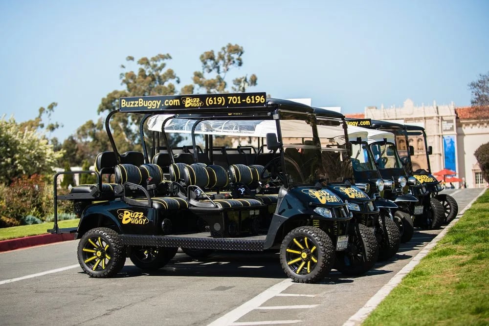 Buzz Buggy image