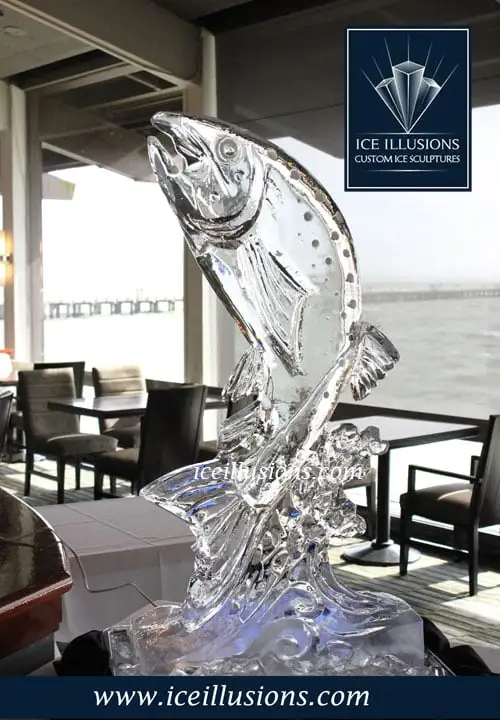 Ice Illusions image