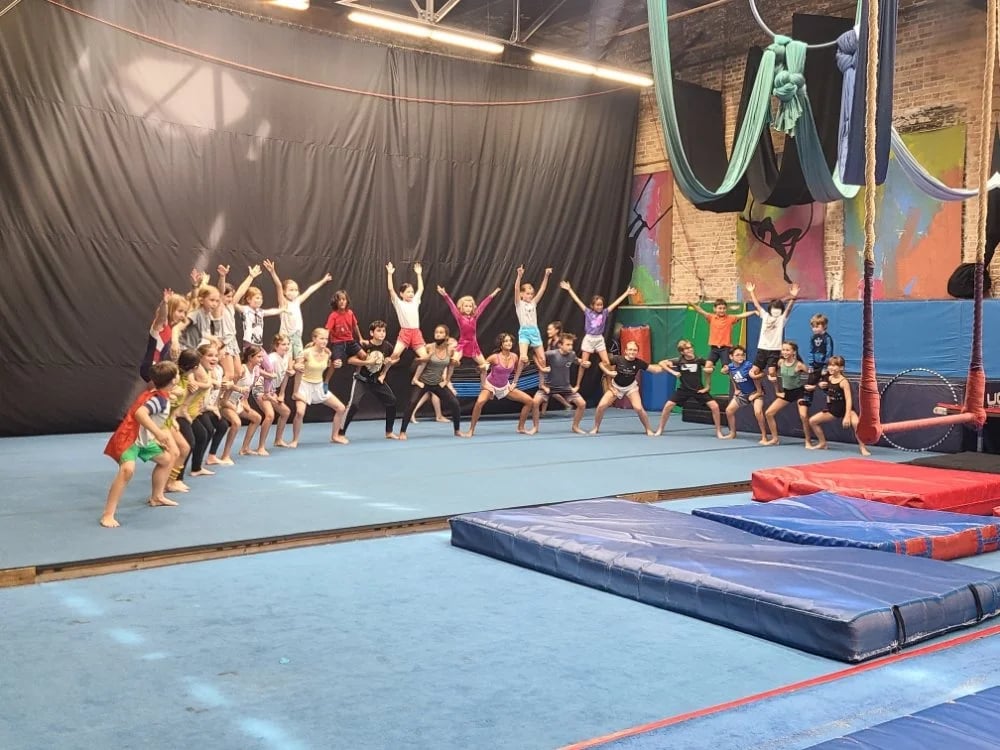 MSA & Circus Arts image