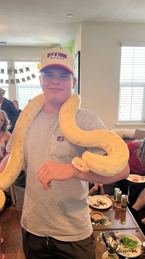 For Goodness Snakes image