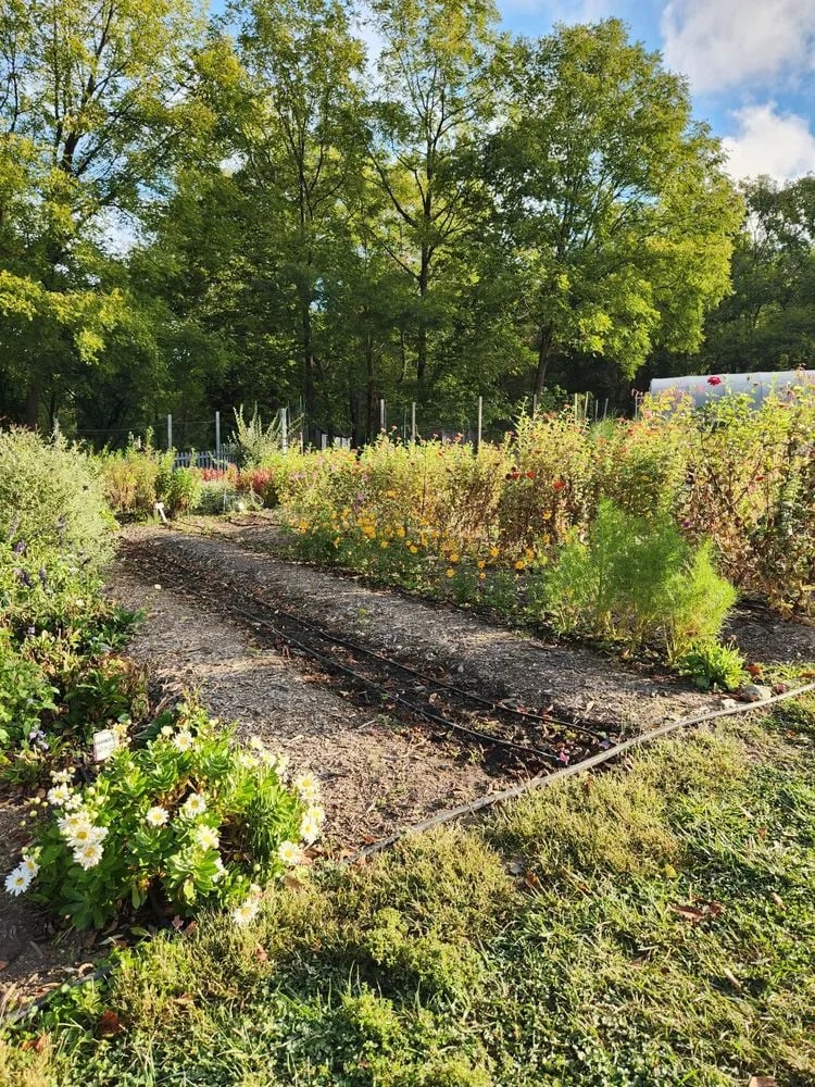 Gorman Heritage Farm image