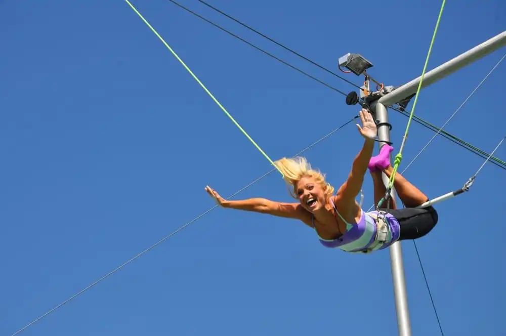 Trapeze School New York image