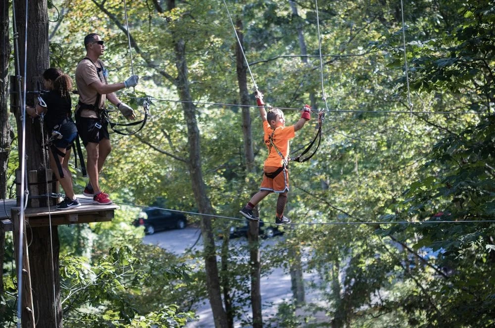 The Adventure Park at Nashville image