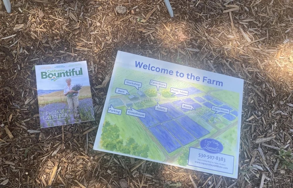 SacTown Bites image