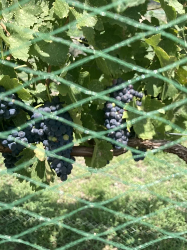 AZ Wine Wagon image