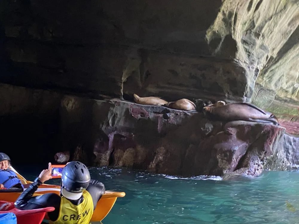 Hike Bike Kayak Adventure Tours image