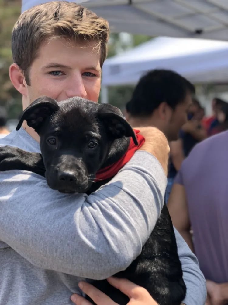 Puppy Love image