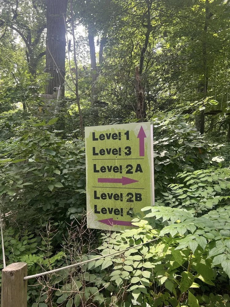 Treetop Quest Philly image