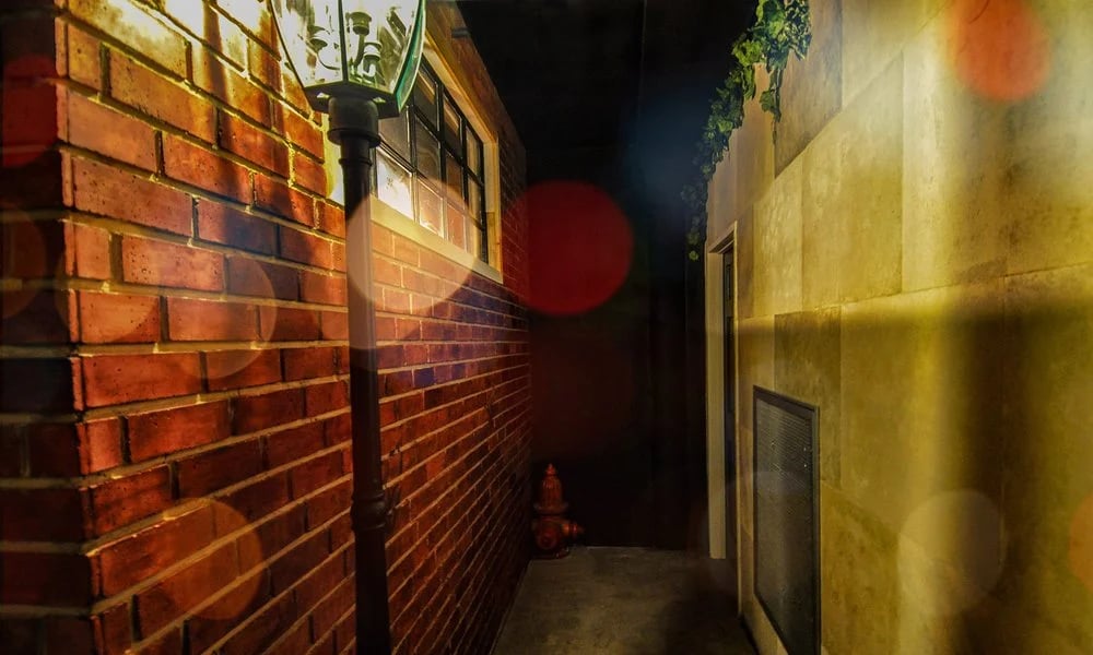 Red Fox Escapes image