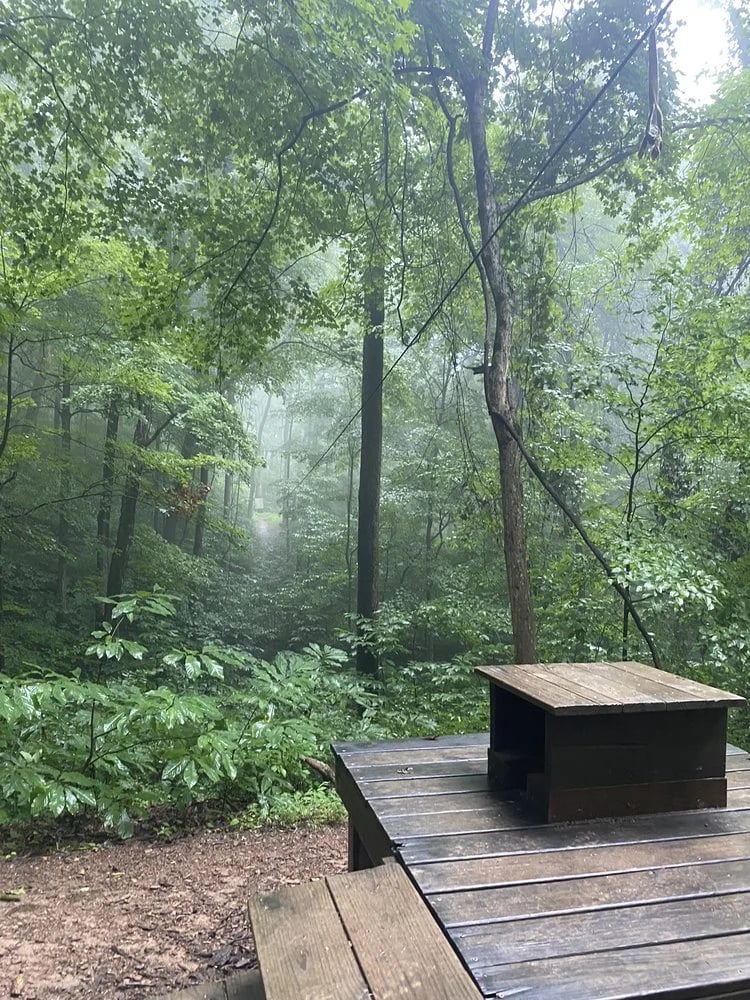 Adventureworks Zipline Forest at Fontanel image