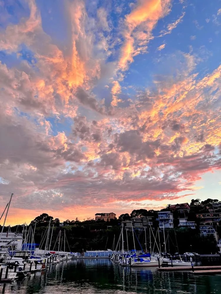 Angel Island-Tiburon Ferry image