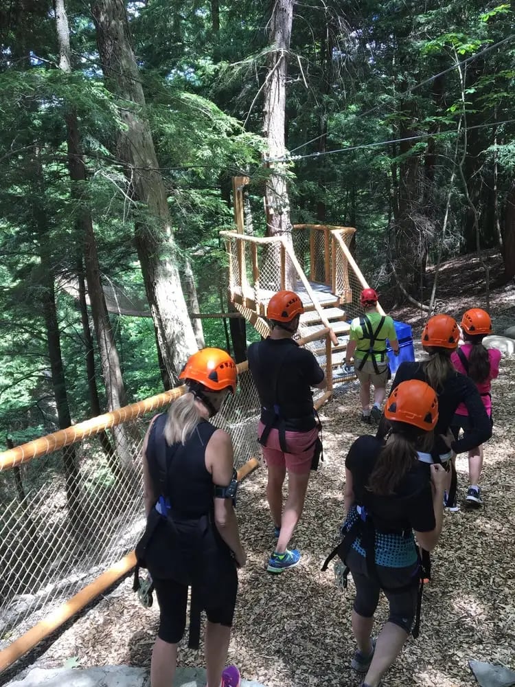 Bristol Mountain Aerial Adventures image