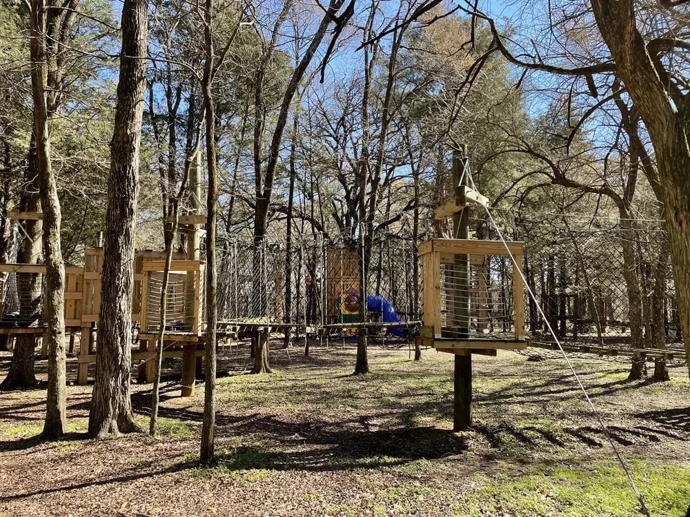Trinity Forest Adventure Park image