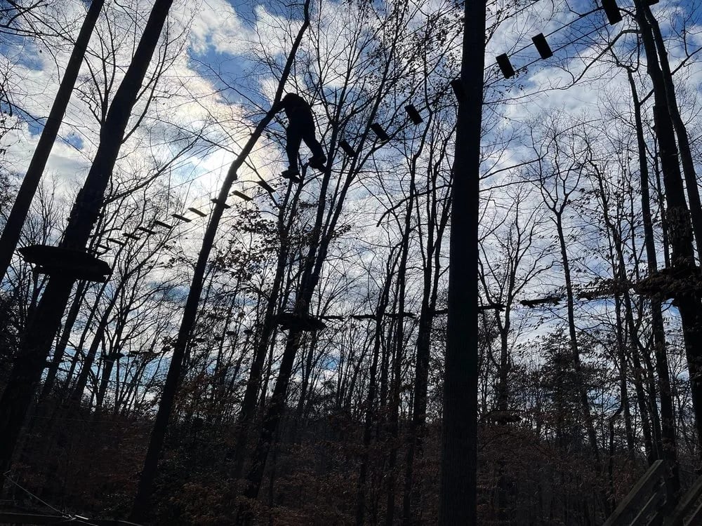 Go Ape Zipline & Adventure Park image