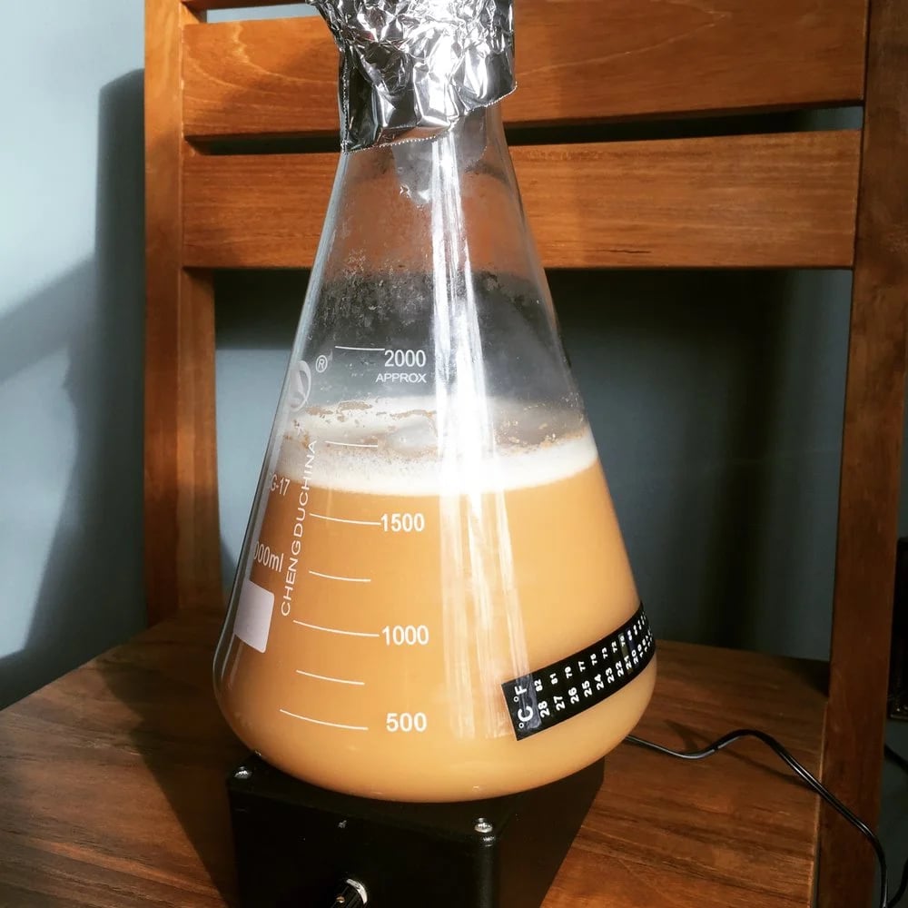 Peninsulas Brewing image