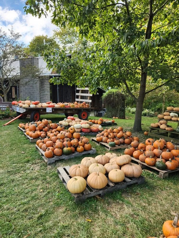 Gorman Heritage Farm image