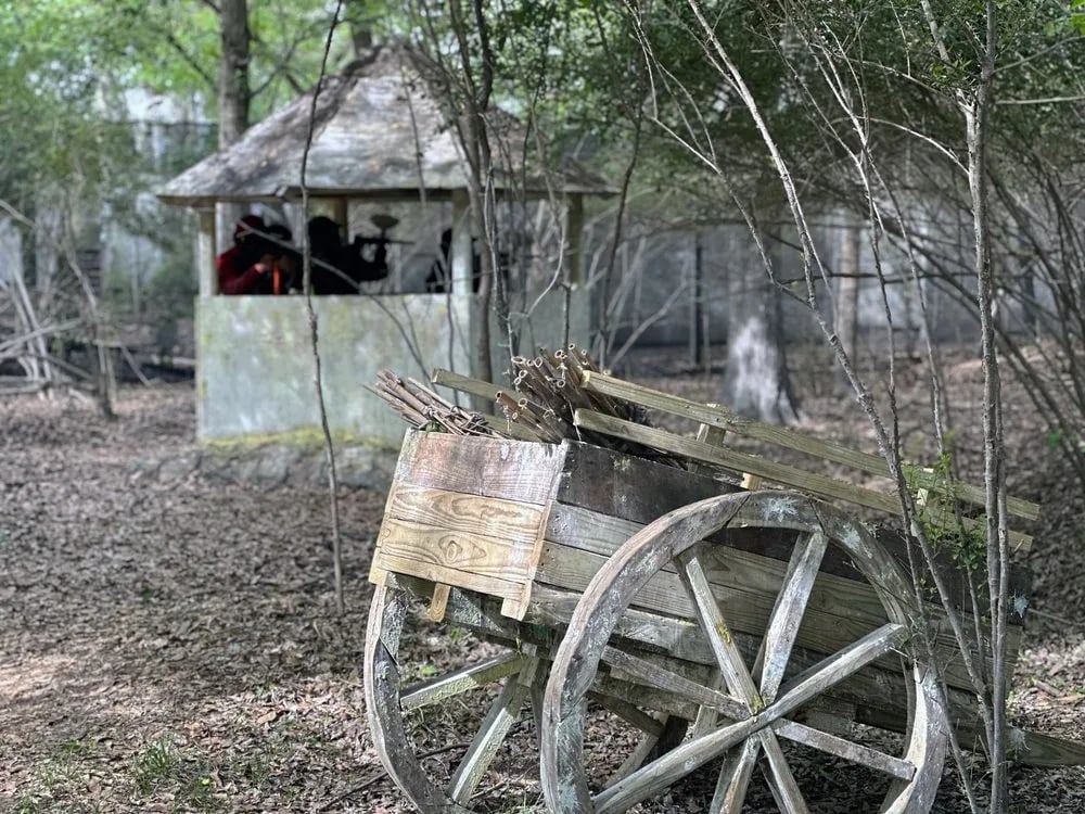 Survival Game of Texas image
