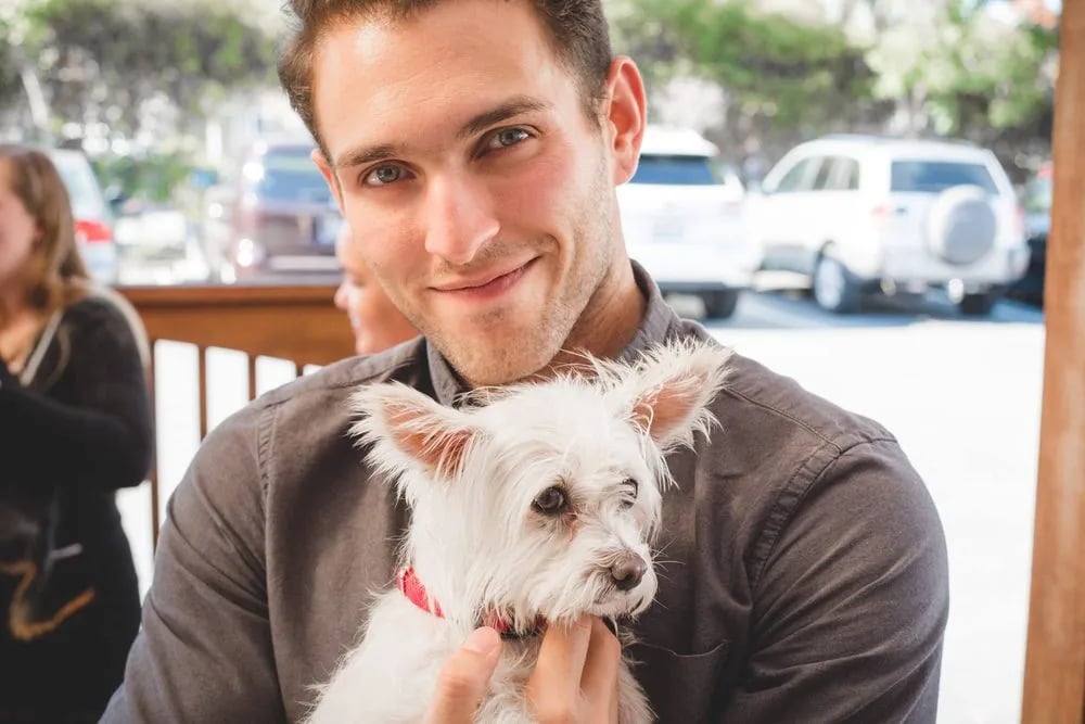 Puppy Love image