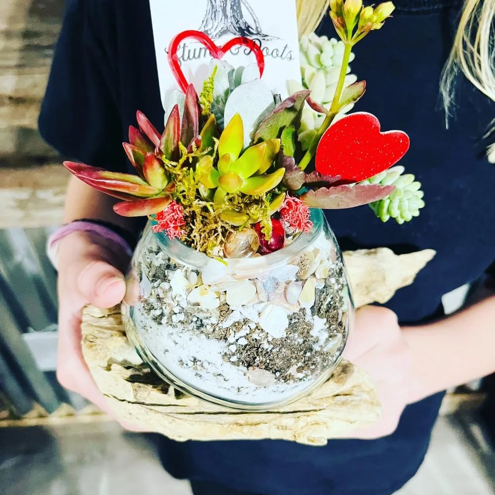 Rooted Treasures Succulents image