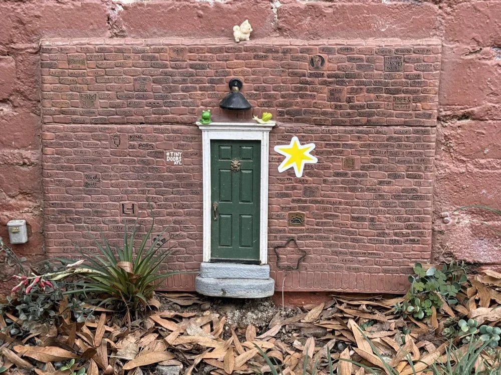 Unexpected Atlanta image