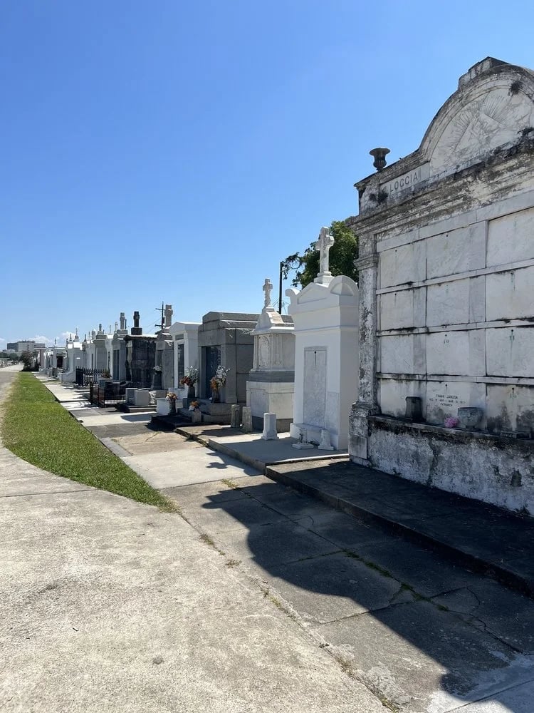 Gray Line New Orleans image