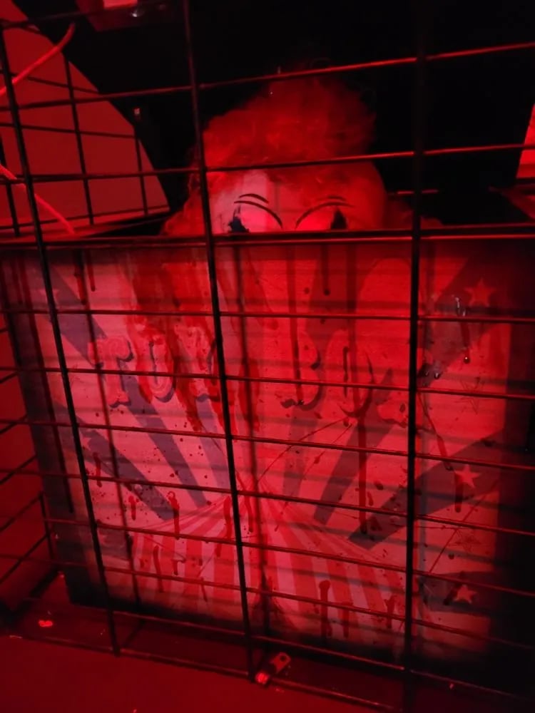 Enigma Escape Room image