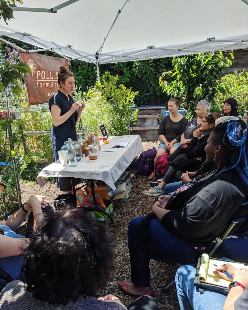 Kombucha to the People image