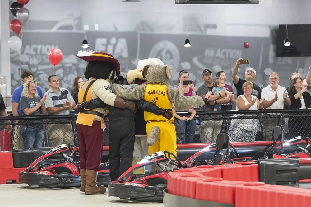 BOSS PRO-Karting image